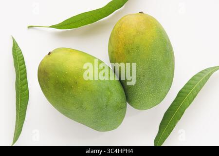 Two fresh green mangoes with their leaves, showcasing their vibrant color and natural beauty, isolated on a clean white background. Stock Photo