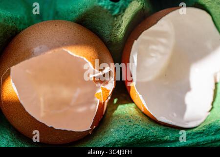 Eggshells in the cells of a green egg carton. Close-up. High quality photo Stock Photo