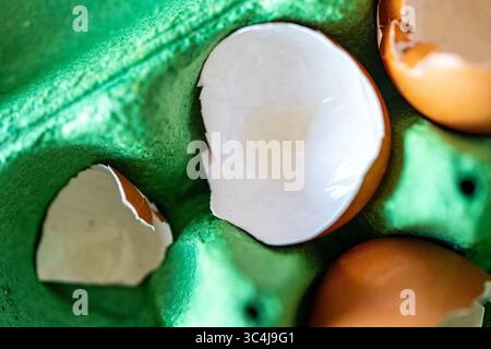 Eggshells in the cells of a green egg carton. Close-up. High quality photo Stock Photo