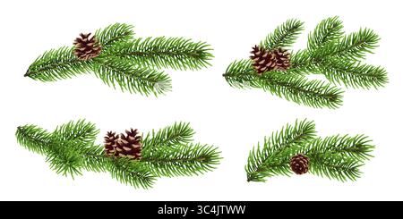 Fir branches set, Christmas tree twig with pine cones on isolated background, realistic spruce branch, evergreen vector illustration Stock Vector