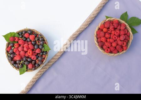 Top view of two wicker baskets with fresh raspberries and black currants on a white and lilac background with rope. Summer berries, healthy food and v Stock Photo
