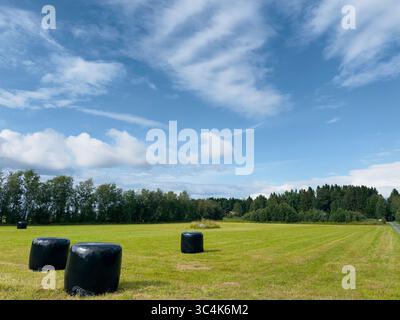 The landscape showcases hay bales resting on a field under a bright blue, cloudy sky. Stock Photo