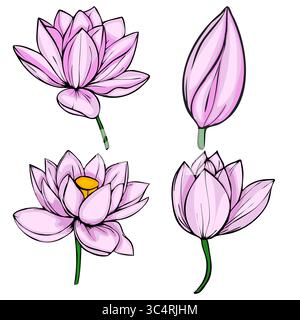 A vector illustration featuring four delicate pink lotus flowers in various stages of bloom, showcasing detailed petals and a vibrant yellow center in Stock Vector