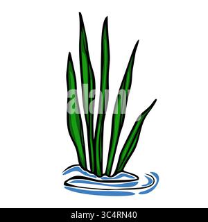This vector illustration depicts a stylized cluster of vibrant green aquatic plants emerging from a simplified blue water surface, offering a unique a Stock Vector