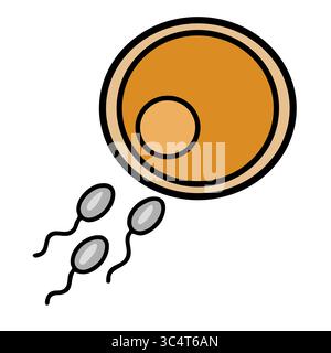 A stylized vector illustration depicting a single ovum with three sperm cells approaching, showcasing a simplified yet informative representation of f Stock Vector