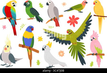 Cartoon parrots characters. Funny exotic birds sitting on branch and flying. Isolated tropical vibrant bird, cute parrot macaw, cockatoo, classy Stock Vector