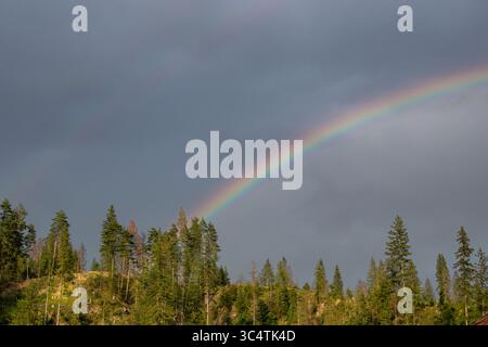 Beautiful rainbow over a forest mountain peak and rainy dark clouds Stock Photo