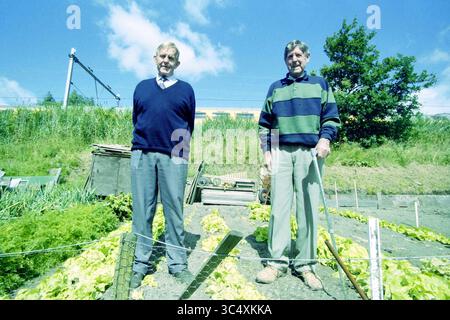 Brothers Broekhof, Hillegom, 11-07-2000 Whizgle News, Dutch Desk, The Netherlands, 1950-2000 Two elderly men stand proudly in a flourishing vegetable garden, surrounded by neatly arranged rows of leafy greens. One man holds a walking stick, and both wear sweaters, suggesting a day spent enjoying their gardening efforts. In the background, lush greenery and a train line hint at a rural setting. Stock Photo