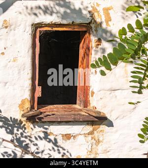 An old, weathered window with a wooden frame, partially open, set against a peeling white wall. Surrounding foliage casts shadows on the wall, adding Stock Photo
