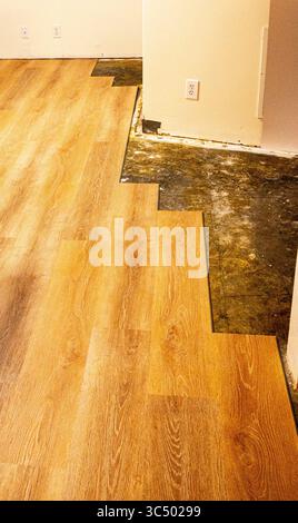 Installing vinyl plank flooring on concrete floor Stock Photo