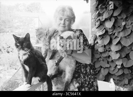 Woman with cats on balcony, 19-07-1994 Whizgle News, Dutch Desk, The Netherlands, 1950-2000 A woman in a floral dress smiles warmly while holding two fluffy cats, with a third cat sitting beside her. Lush greenery surrounds them, creating a tranquil atmosphere. Stock Photo