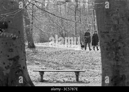 View Maranka, Overviews, 07-04-1970 Whizgle News, Dutch Desk, The Netherlands, 1950-2000 A couple strolls leisurely along a path in a serene park, accompanied by a dog. Tall trees frame the scene, and a solitary bench sits empty, inviting reflection amidst the tranquil surroundings. Stock Photo