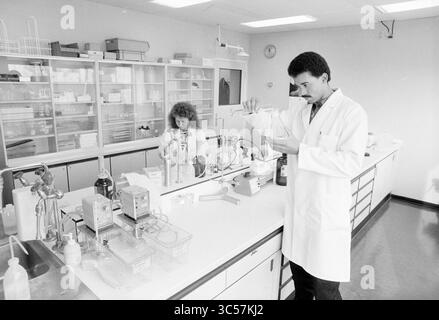 Mr. Schutte Haarlem allergen laboratory, Laboratory, Haarlem, The Netherlands, 26-10-1988 Whizgle News, Dutch Desk, The Netherlands, 1950-2000 In a laboratory setting, two scientists are engaged in precise experiments. One is focused on carefully measuring a liquid with a pipette, while the other is conducting an analysis at a workstation filled with various lab equipment and glassware. The workspace is organized, showcasing a range of scientific tools and materials essential for their research. Stock Photo