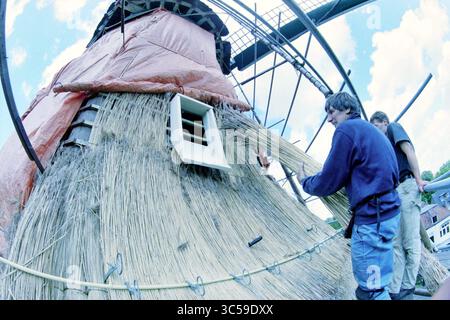 Thatcher's tools - with straw thatching Stock Photo - Alamy