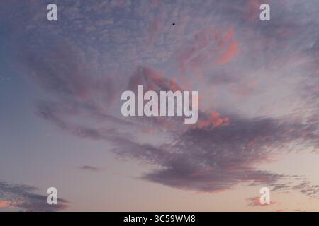 Twilight Sky with Bird in Flight Stock Photo