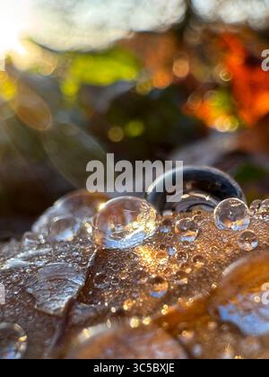 Macro photo of morning dew on autumn leaf with sunlit reflections and colorful bokeh. Captures the delicate beauty of nature in fall. Stock Photo