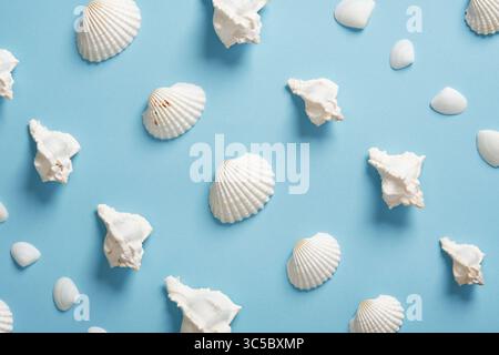 Various types of white shells, scallops and conchs, on a smooth light blue background. Summer sea pattern. Stock Photo