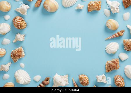 Frame of various brown and white seashells on light blue background. Place for your text. Stock Photo