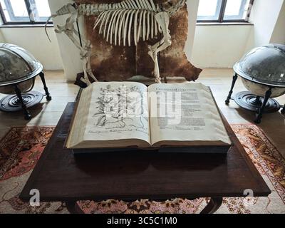 Old botanical book on a wooden table in a historical study room at Buchlov Castle, surrounded by globes, skeletons, and scientific decor, evoking a 19 Stock Photo