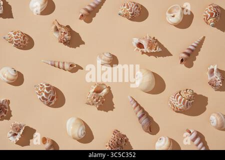 Various natural seashells of different shapes and textures are arranged in a pattern on a warm beige background. Summer beach backdrop. Stock Photo