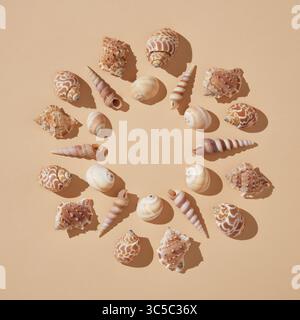Round vacation frame of brown shells on a beige background with hard shadows. A place for your text. Stock Photo
