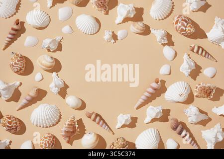 Heart shaped frame made of brown and white shells on beige background with hard shadows. Space for your text. Stock Photo