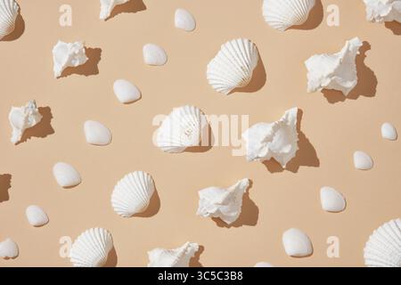 Summer vacation background with white seashells of different shapes arranged neatly on a beige background. Stock Photo