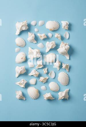 Rectangle of white shells on light blue background. Stock Photo