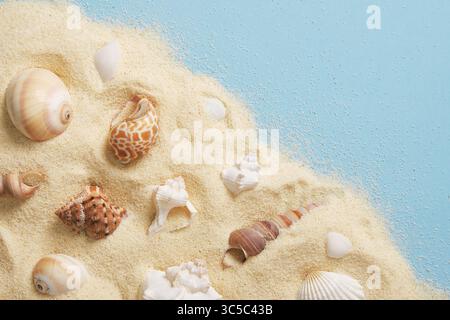 Card with white and brown shells lying on fine golden sand on a blue background. Space for your text. Stock Photo