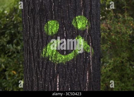 Graffiti, laughing face in green on tree trunk, tree, Stuttgart, Baden-Wuerttemberg, Germany Stock Photo