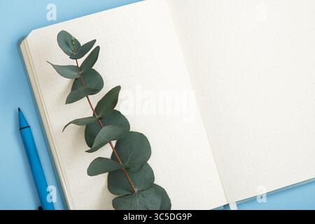 Waxflower lie on empty page of notebook. Space for your text. Stock Photo
