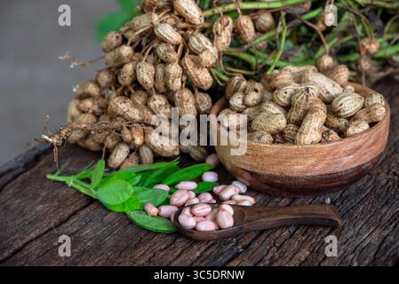 Peanuts in a peel in a wooden bowl. peeled peanut on peanut group on wooden bowl. Stock Photo