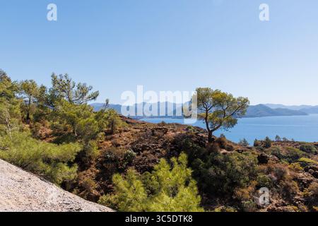 Lonely pine tree on the edge of a cliff above the mediterranean sea Stock Photo