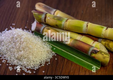 White sugar and sugar cane on wooden table background Stock Photo
