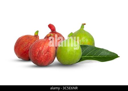 ficus racemosa, cluster fig fruit isolated on white background Stock Photo