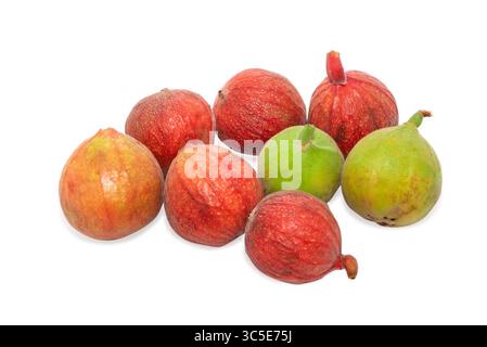 ficus racemosa, cluster fig fruit isolated on white background Stock Photo