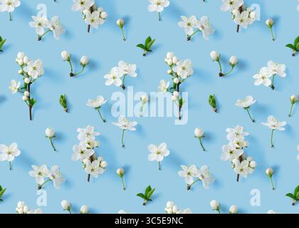 Cherry blossom pattern on blue background Stock Photo
