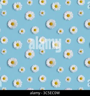 Flowers pattern with white daisies on a purple background Stock Photo