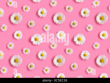 Flowers pattern with white daisies on pink background Stock Photo