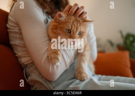 Young woman sitting on a comfortable sofa, gently stroking her ginger cat, enjoying a peaceful moment at home, creating a warm and cozy atmosphere Stock Photo