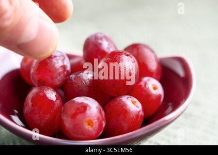 Ripe juicy red grapes and hand reaching for edible berries in ceramic bowl on green table Stock Photo