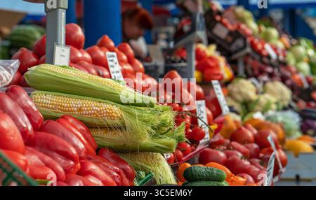 Cobs of corn among a huge selection of fresh vegetables on the counter of a food market. Selective focus on cobs of corn. Stock Photo