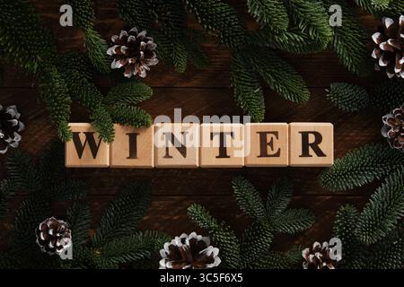 Text Winter in English of wood block on dark background with pine cones and green fir branches Stock Photo