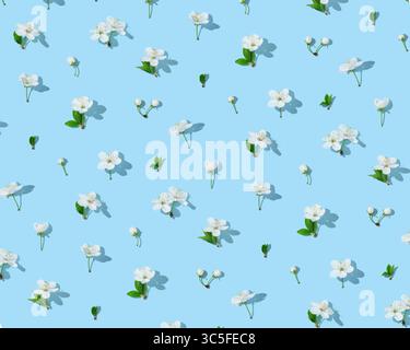 Seamless cherry blossom pattern on light blue background Stock Photo