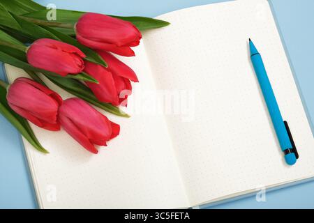 Red tulips are on blank notebook page. Space for your text. Stock Photo