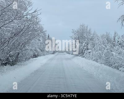 A serene winter scene of a snowy road cutting through a frosty forest, under a cloudy sky in Jämtland, Sweden. Stock Photo