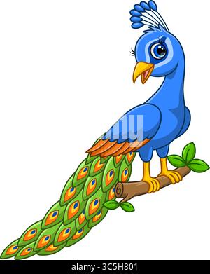 Cute peacock cartoon. Beautiful peacock cartoon on white background Stock Vector