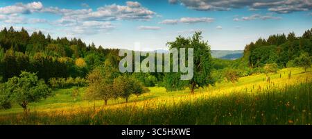 Vibrant blossoming meadow on a hill with lush green vegetation and blue sky in spring, panoramic format Stock Photo