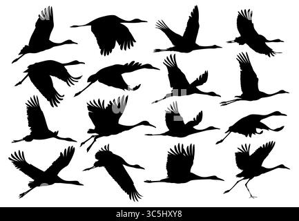 A set of silhouettes of the flying cranes. Stock Vector
