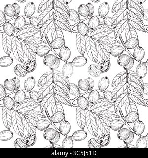 Seamless vector pattern of green walnut on branch, walnut leaves, ripe walnut in shell. For printing on kitchen towels, cookware, food packaging and Stock Vector